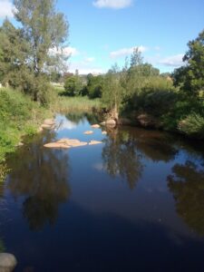 Still pool on Tenterfield Creek beside the showground camping area