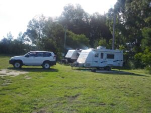Caravans and four-wheel drives camped on the grass at Tenterfield Showground