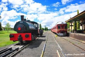 Green steam locomotive Tilly and red rail motor on the tracks at Tenterfield Railway Museum