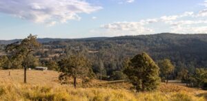 Golden pasture and bushland hills at Wallaby Creek Farmstay Retreat