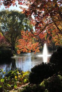Fountain pond framed by autumn foliage at Glenrock Gardens