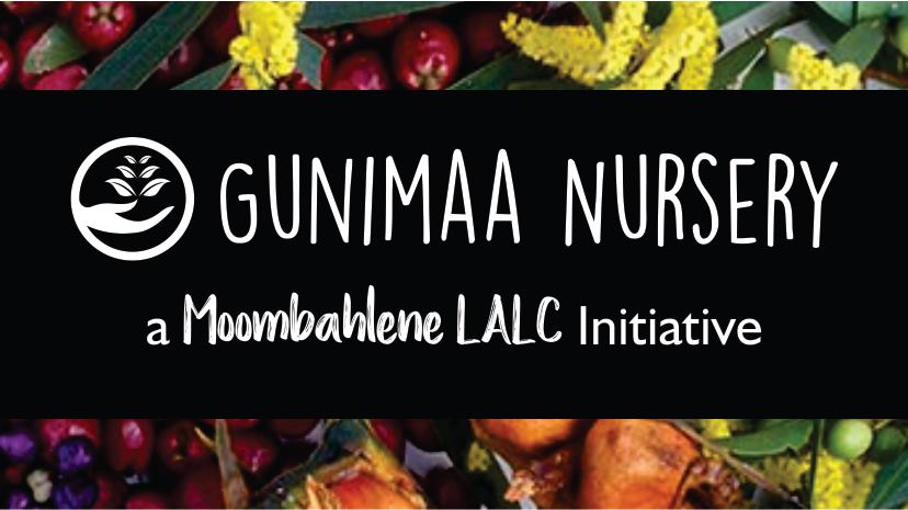 Gunimaa Nursery banner with native plants, a Moombahlene LALC initiative