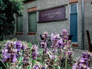 Courtyard Cafe sign among lavender in the School of Arts courtyard