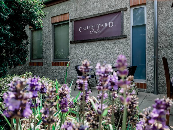 Courtyard Cafe sign among lavender in the School of Arts courtyard