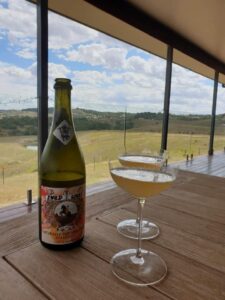 Bottle of 2 Wild Souls mead and two filled coupe glasses overlooking the countryside
