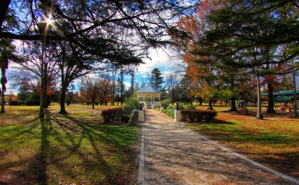 Autumn trees lining the path to the rotunda at Jubilee Park, photo by Kym Howard