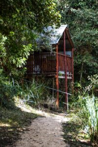Rustic timber tree hut cabin among the greenery at Clarence River Wilderness Lodge