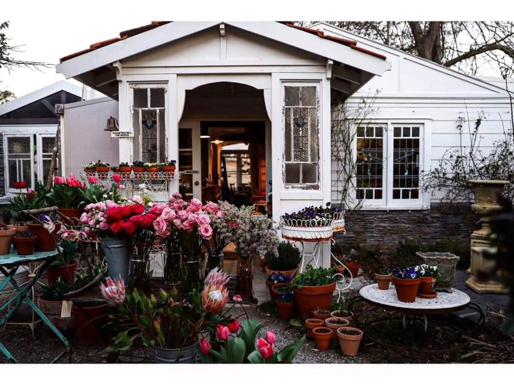 Buckets of proteas and tulips outside the White Cottage Flower Farm shopfront