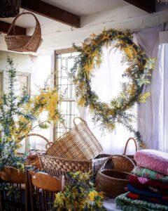Mimosa wreath and baskets by the window at White Cottage Flower Farm