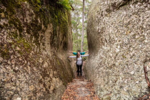 Walker exploring granite boulders and native cypress on the Bungoona Walk at Bald Rock