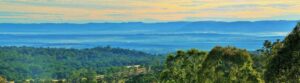 View over forested ranges to the distant valley on Tourist Drive 9, the Border Mountains Loop