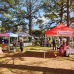 Market stalls under the pines at the Drake Village Markets