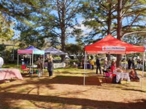 Market stalls under the pines at the Drake Village Markets