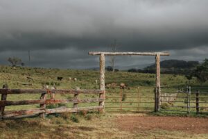Timber stockyards under a moody sky on Harrigans Lane gravel route