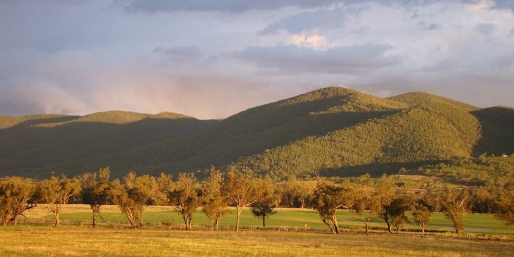 Golden evening light over the orchards and hills of the Mingoola valley