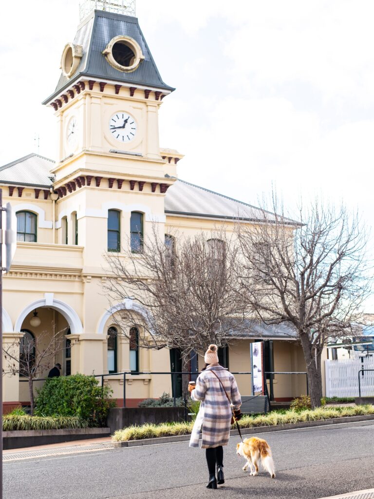 Woman walking her dog past the Tenterfield post office clock tower
