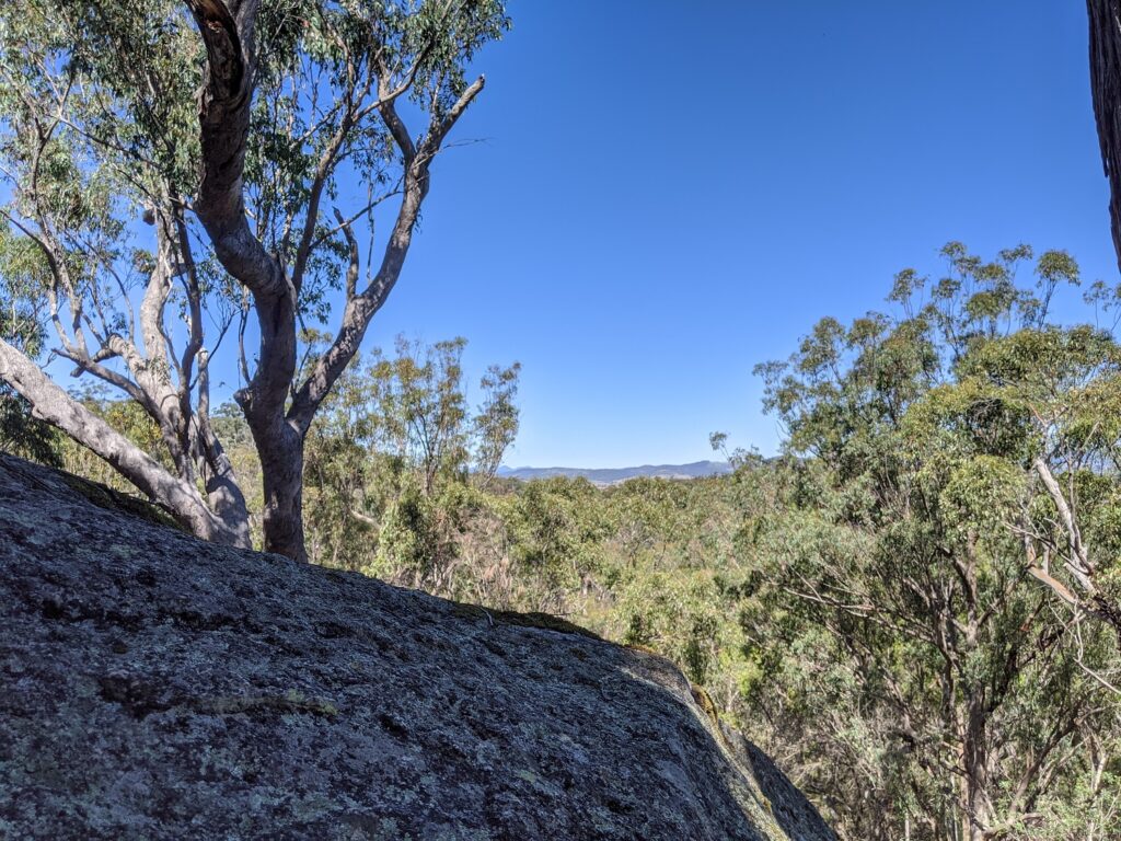 View over eucalypt bushland from the granite outcrop at Thunderbolt's Hideout
