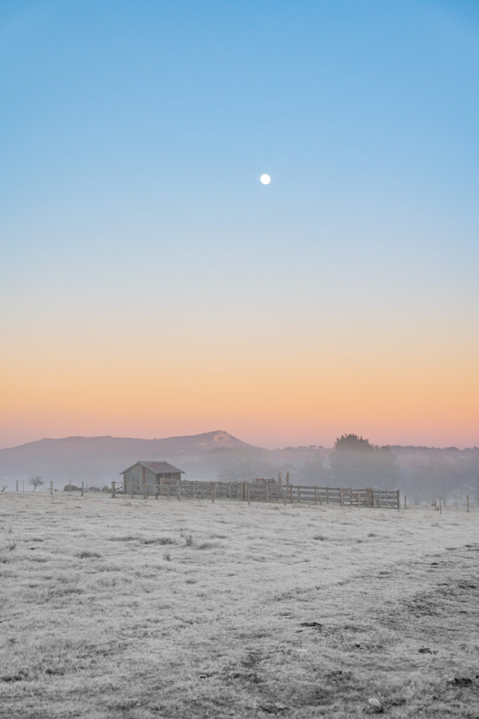 Frosty winter morning over the paddocks near Tenterfield, photo by Sera J Wright